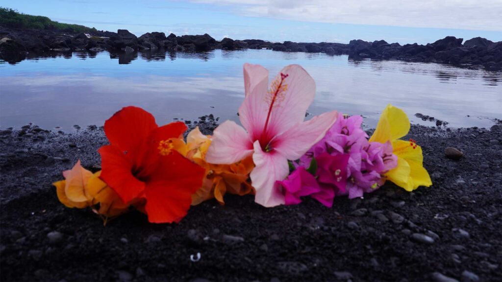 EarthSong Foundation Hawaii