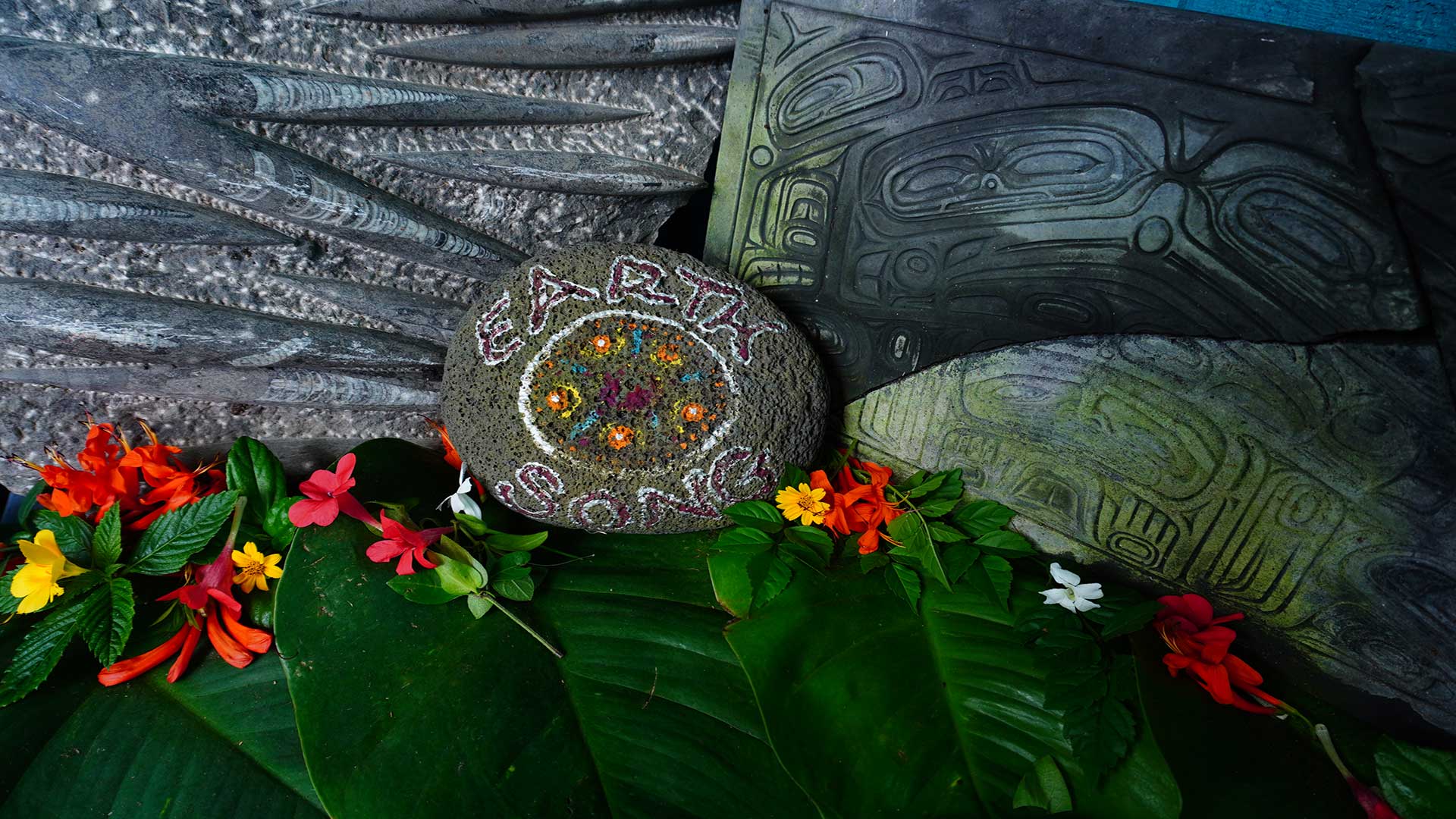 History of EarthSong Foundation