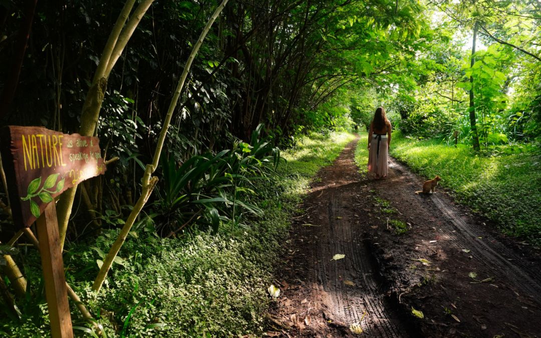 Permaculture is the Art of Living