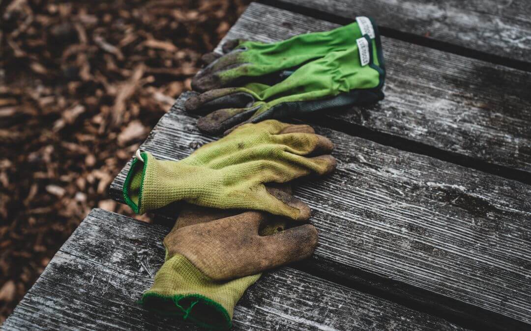 Growing community is like growing a garden