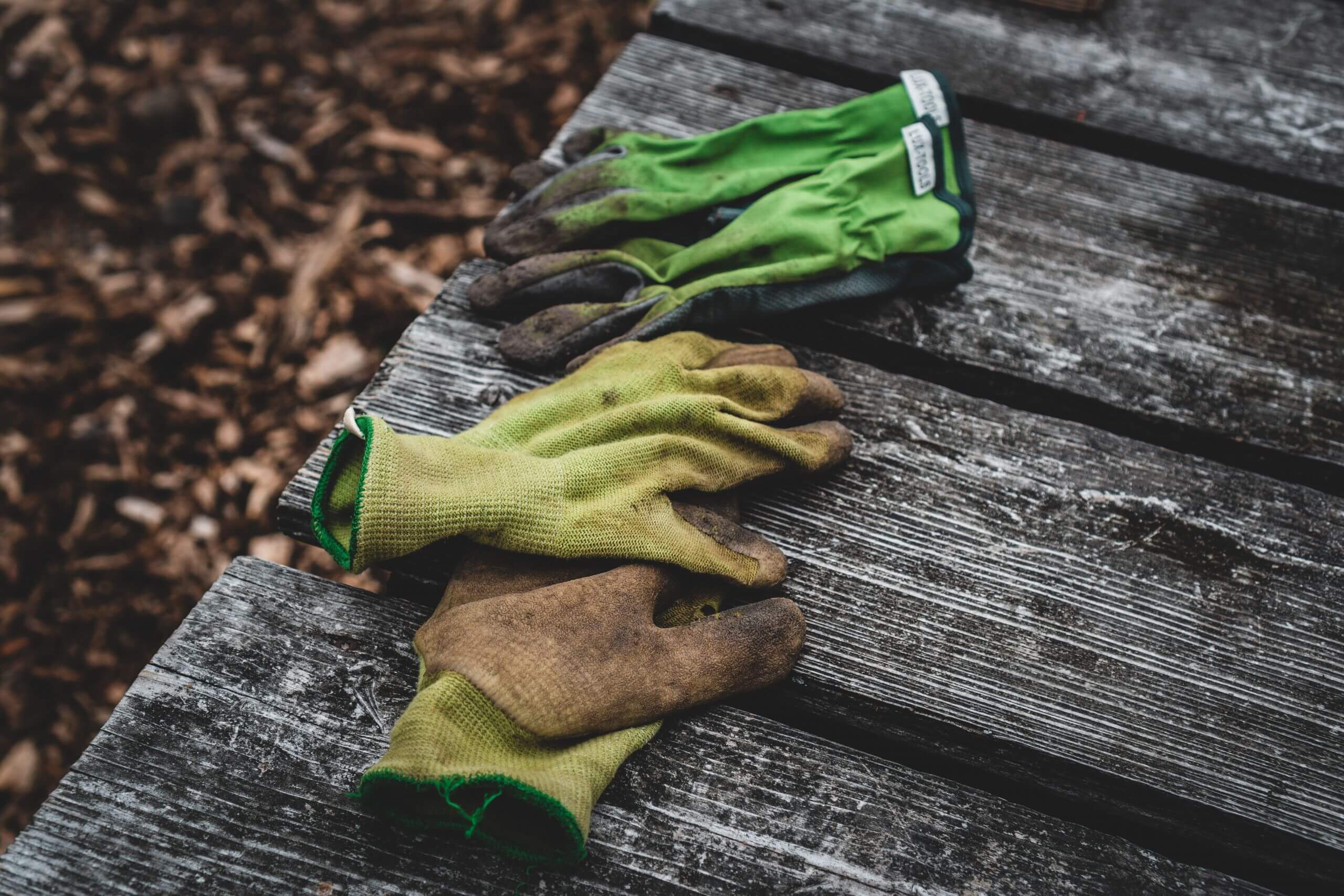 jonathan-kemper-kYl3Yp2hwtQ-unsplash Gardening gloves