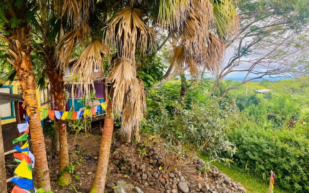 What is an Earth Ashram?