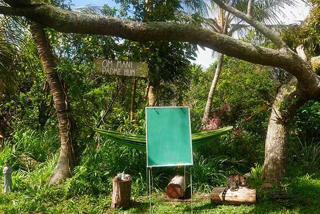 Outdoor classroom setting with a blank chalkboard. Earthsong Foundation Hawaii